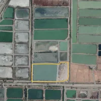 اجاره مزرعه پروش ماهی گرمابی