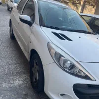 207 پانوراما ۱۴۰۲ بی رنگ