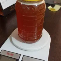 عسل کوهی وحشی