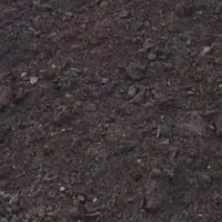 کود گاوی و مرغ