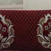 یک جفت پشتی