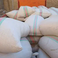خرید وفروش سبوس برنج