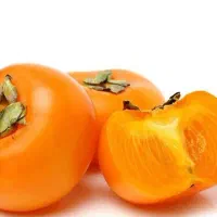 پیشفروش نهال خرمالو فویو دوساله|خدمات باغبانی و درختکاری|گهواره, |دیوار