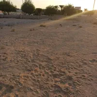 زمین ۲۲۰متر ، روبروی درمانگاه دکتر شفیعی ، بر جاده