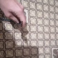 چاقو پرتابی|کلکسیون اشیاء عتیقه|مشهد, بهاران|دیوار