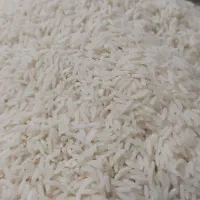برنج هاشمی معطر کشت دوم و اول