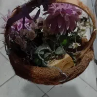 گل‌مصنوعی|گل مصنوعی|تربت جام, بیست متری منبع آب|دیوار