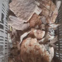 نان خشک|خوردنی و آشامیدنی|مشهد, خواجه ربیع|دیوار