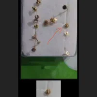 شکوفه بینی طلا