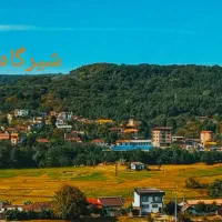 طبیعت سرسبز وجنگلی شیرگاه ویو عالی و دنج|اجارهٔ کوتاه‌مدت آپارتمان و سوئیت|شیرگاه, |دیوار