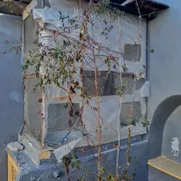 قفس آهنی  قفس