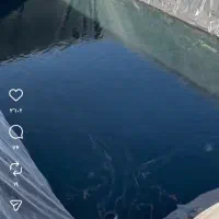 خریدارورق ژیومبران استخر