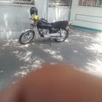 تو سند زرد باک زردم دادم