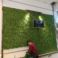 گرین وال (دیوار سبز)فروشی|گل مصنوعی|مشهد, ولیعصر (شهرک غرب)|دیوار