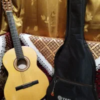 گیتار پارسی m2