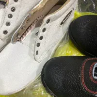 کفش|کیف، کفش، کمربند|سیب و سوران, |دیوار