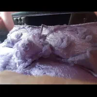 رو تختی دونفره در حد نو|سرویس روتختی|فردیس, شهرک ناز|دیوار