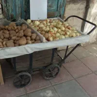 گاری فنری با طبق