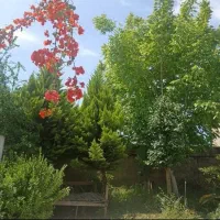 فروش ویلای شهری ۳۴۰متری در شمال کشور|فروش خانه و ویلا|اصفهان, نقش جهان|دیوار