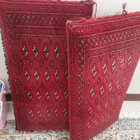 مخطع