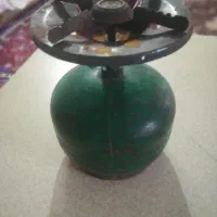 پیک نیک سالم