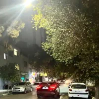 55-اجاره-تجاری-بر-خیابان-باغ-دریاچه7متر-دهنه-همکف