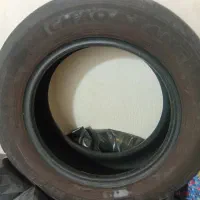 CHAO YANG|حراج|رشت, نامجو|دیوار