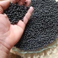 دانه یسر