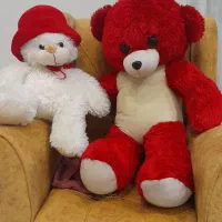 دوتا خرس عروسکی