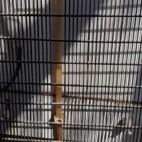 یخچال فریزر