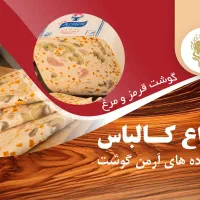 راننده پایه ۲