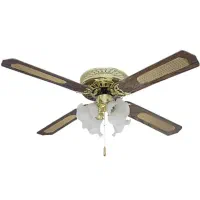 پنکه سقفی چراغ و بخاری دارد