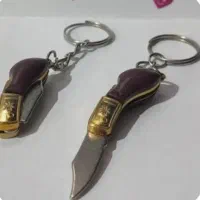 پاسیوجی