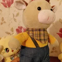 ۵ عدد عروسک خارجی پارچه نانو|اسباب‌‌بازی|سنندج, |دیوار