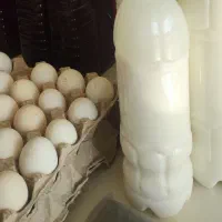 فروش دوغ محلی عمده