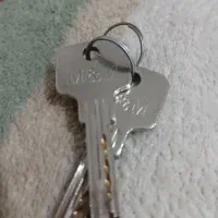 یک دسته کلید گم کردم