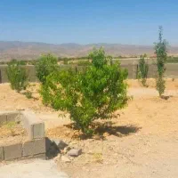 فروش زمین خانزنیان
