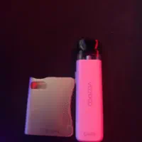 پاد vinsi و کوکو