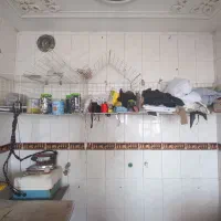 نوار اوریب گان نوار بشور و استند|لوازم خیاطی و بافتنی|شیراز, شریفآباد|دیوار