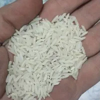 برنج هاشمی ب شرط با ارسال رایگان|خوردنی و آشامیدنی|کرج, گلشهر|دیوار