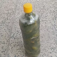 خیارشور بطری