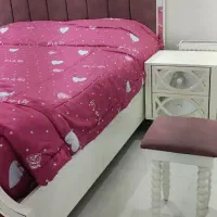 تخت خواب و سرویس خواب|تخت و سرویس خواب|تهران, امام زاده حسن|دیوار