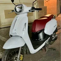 بنلی پانارا ۱۲۵