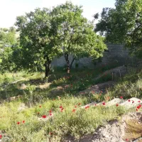زمین و باغ چهاردیواری|فروش زمین و ملک کلنگی|تهران, حر|دیوار