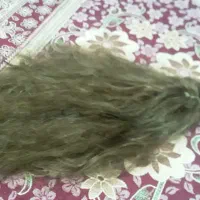 کلاه گیس|آرایشگاه و سالن‌های زیبایی|قوچان, |دیوار