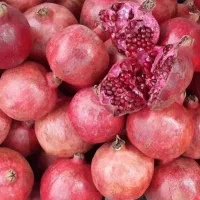 انواع آبمیوه طبیعی آب زرشک انار آلبالو بطری و گالن|عمده‌فروشی|تهران, لاله زار|دیوار