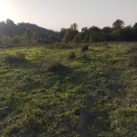 زمین کشاورزی5هکتار|فروش دفتر صنعتی، کشاورزی، تجاری|فریم, |دیوار