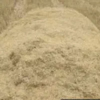 کاه جو