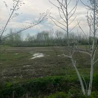 فروش-زمین-کشاورزی-در-استان-گیلان