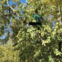 خرید و برش انواع چوب